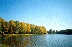 Кузьминский парк